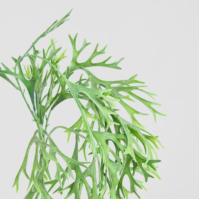 Staghorn Leaves Hanging Vine 70cm 6 pcs