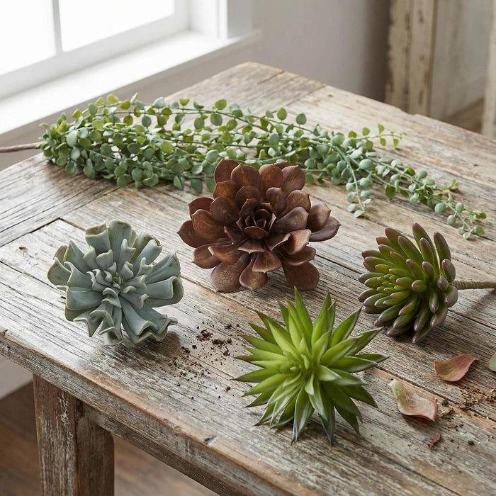 Succulent Spray Burgundy 6 pcs