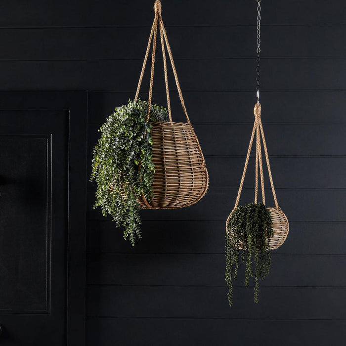 Staghorn Hanging 80cm
