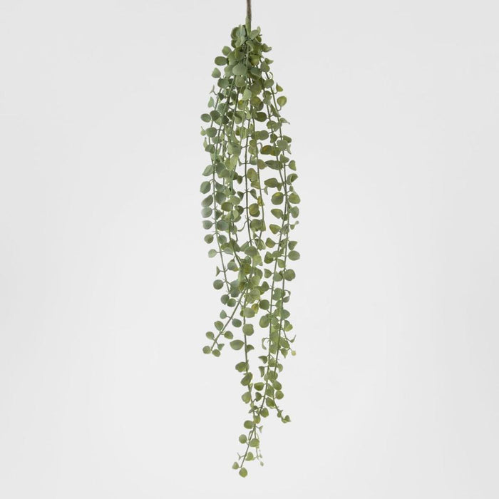 Succulent Hanging Vine 85cm