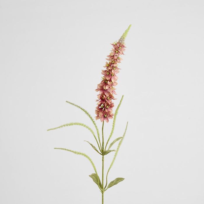 Veronica Speedwell Flower Stem 103cm Pink 6 pcs