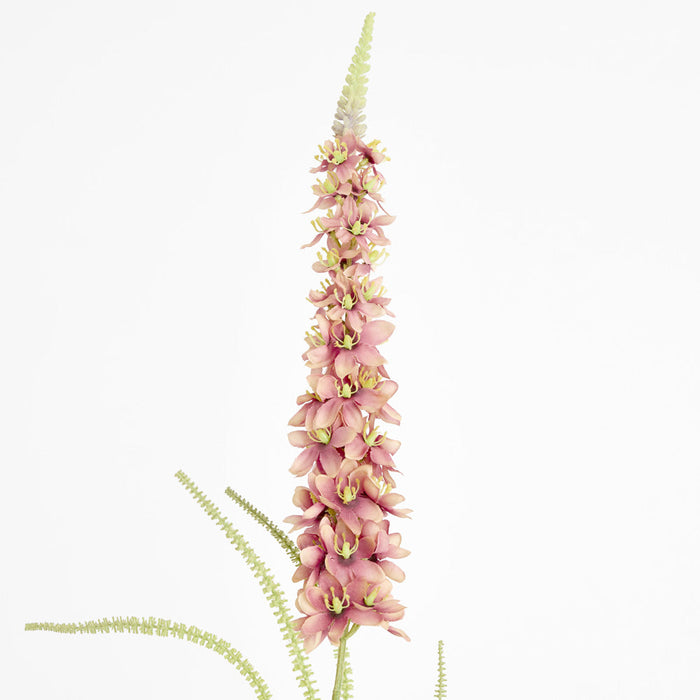 Veronica Speedwell Flower Stem 103cm Pink 6 pcs