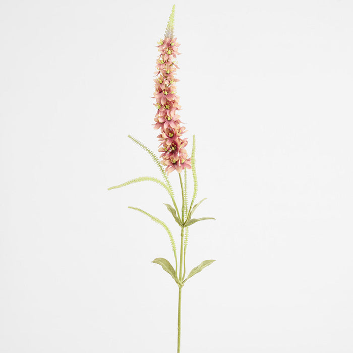 Veronica Speedwell Flower Stem 103cm Pink 6 pcs