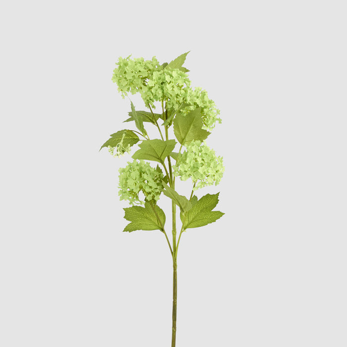 Snowball Spray Green