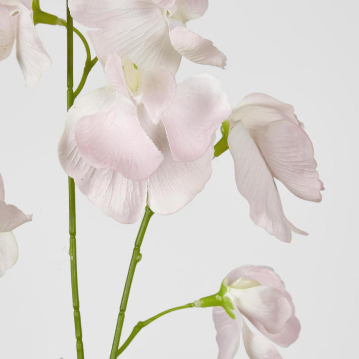 Jane Sweet Pea 60cm Pink 6 pcs