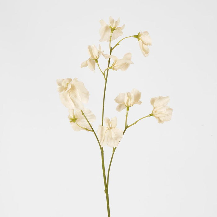 Jane Sweet Pea 60cm Off White 6 pcs
