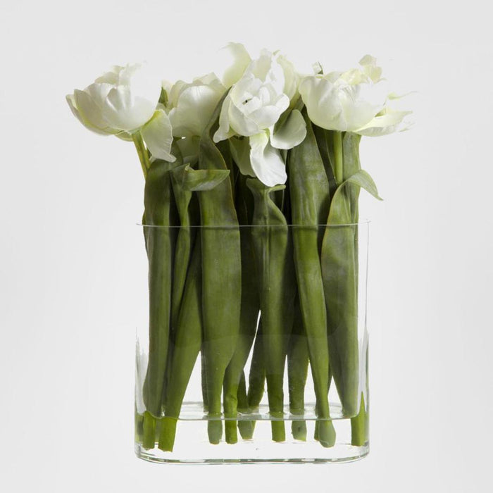 Tulip in Water in Vase White