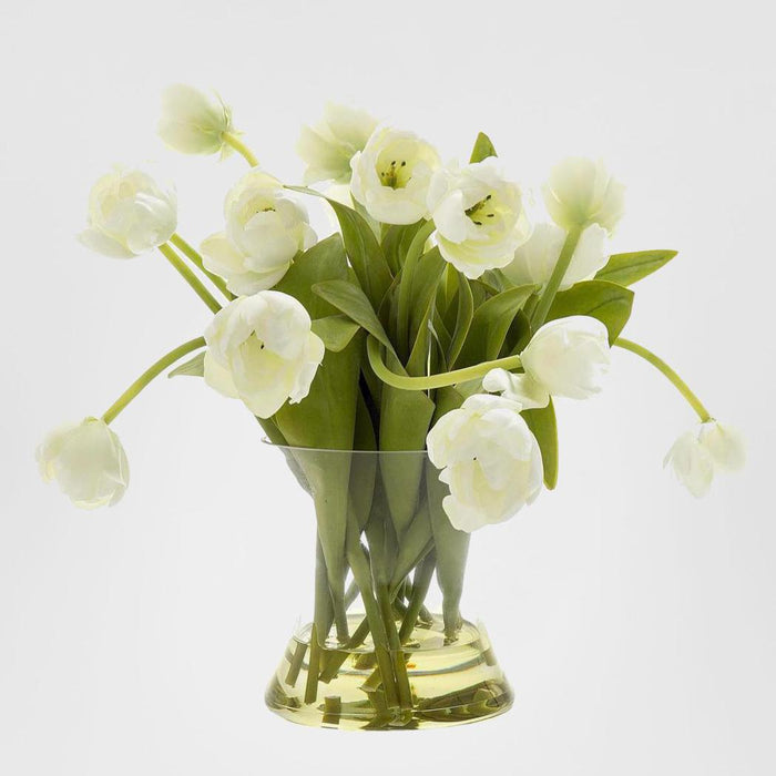 Tulip in Water in Glass Vase White