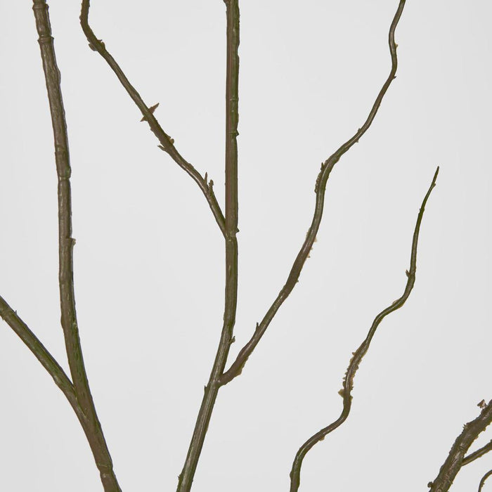 Curly Twig 12 pcs