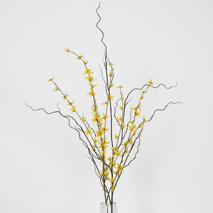 Curly Twig 12 pcs