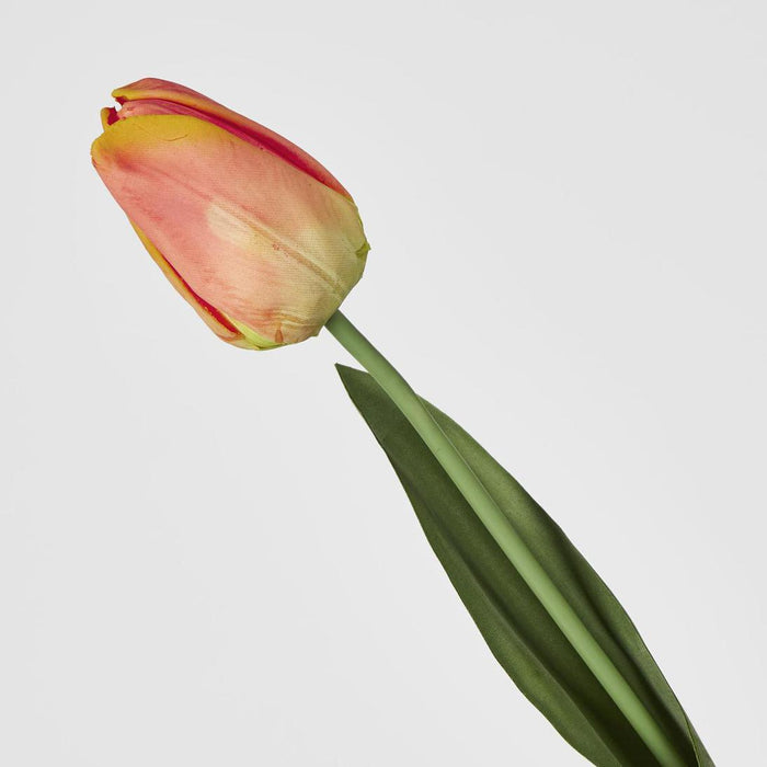 Liv Soft Touch Tulip Orange45cm 30 pcs