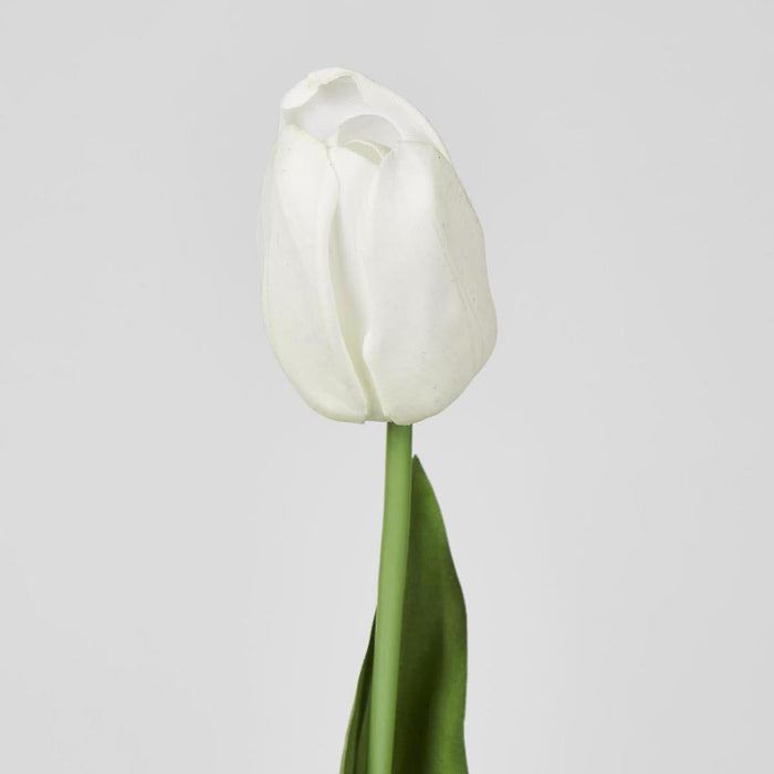 Liv Soft Touch Tulip White45cm 30 pcs