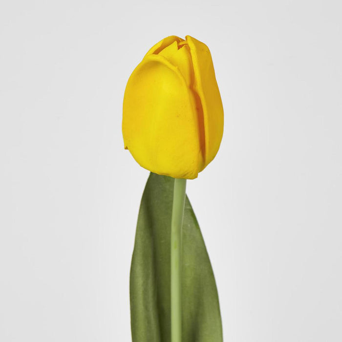 Liv Tulip 45cm Yellow 30 pcs