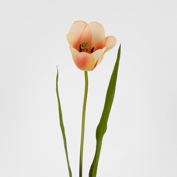 Tulip Real Touch Stem 73cm Peach 2 pcs