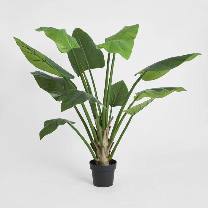 Philo Tree Real Touch 1.4m