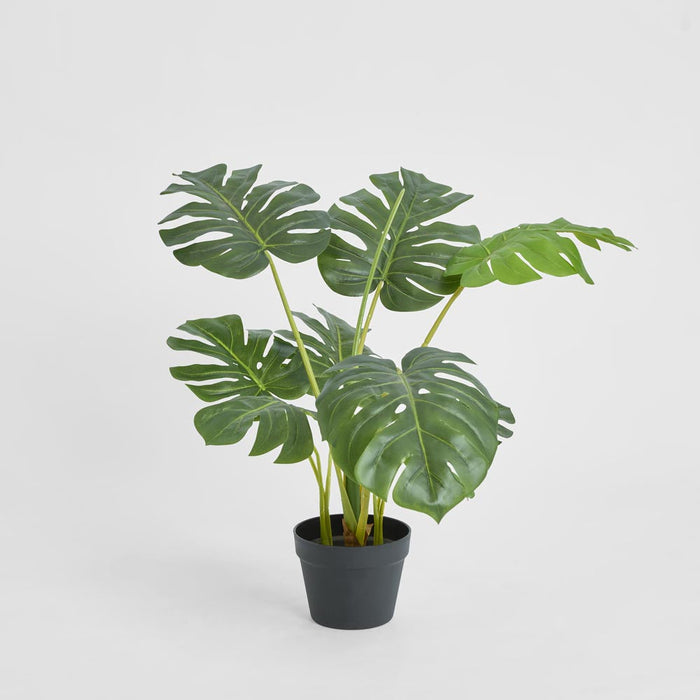 Monstera Tree Real Touch 85cm