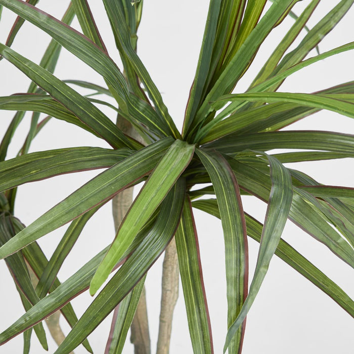 Yucca Tree Real Touch 1.25m