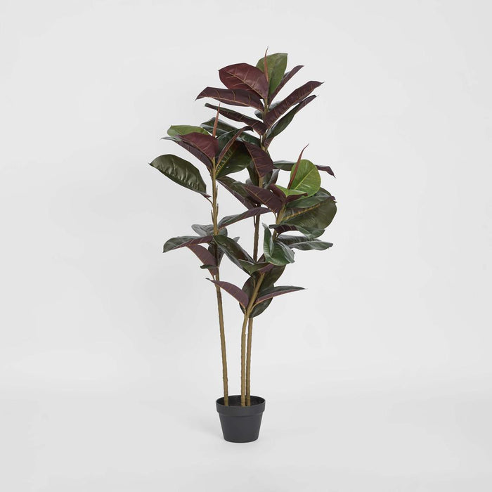 Rubber Tree Real Touch 1.45m