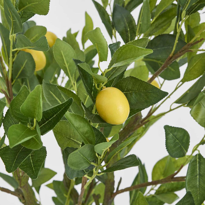 Lemon Tree Real Touch 120cm