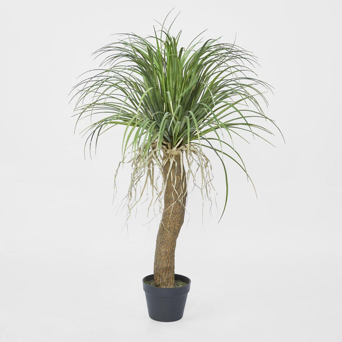 Grass Tree Small 1.1m