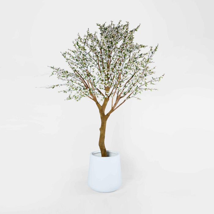 Giant Cherry Blossom Tree 2.4m White