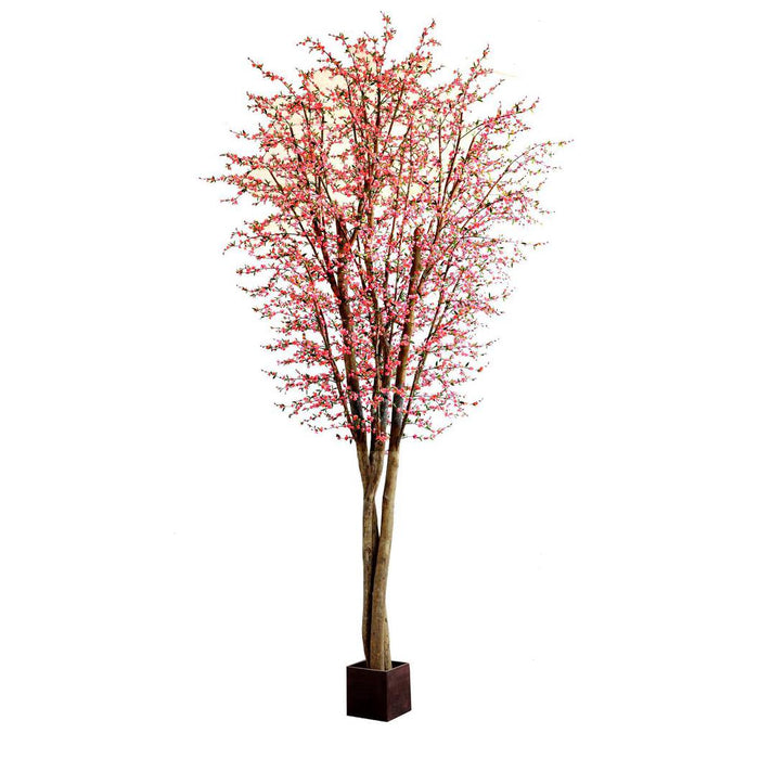 Giant Cherry Blossom Tree 5m 9360 Lvs