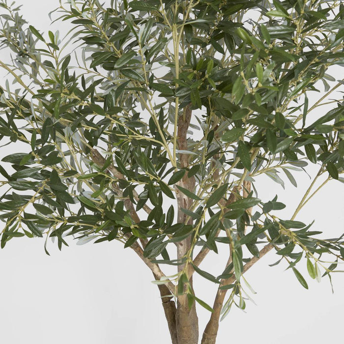 Olive Tree with 3366 Leaves Green 190cm