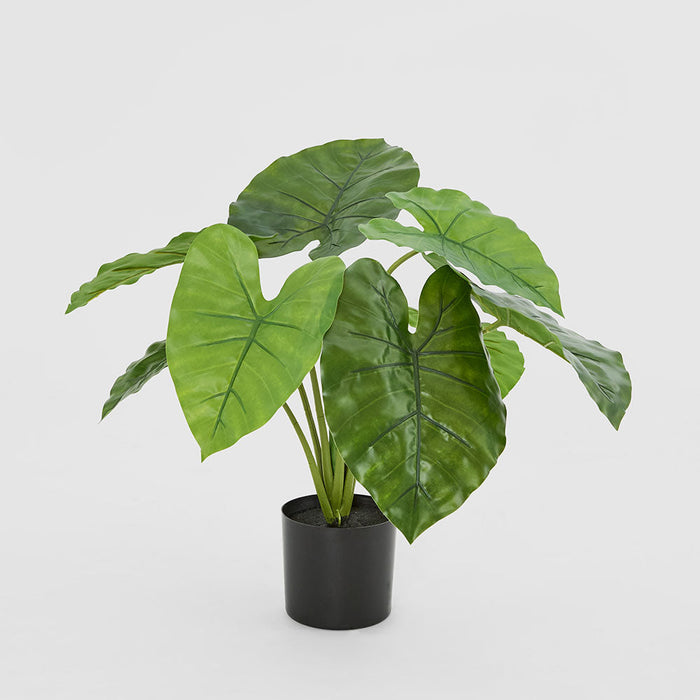 Potted Real Touch Philodendron 50cm