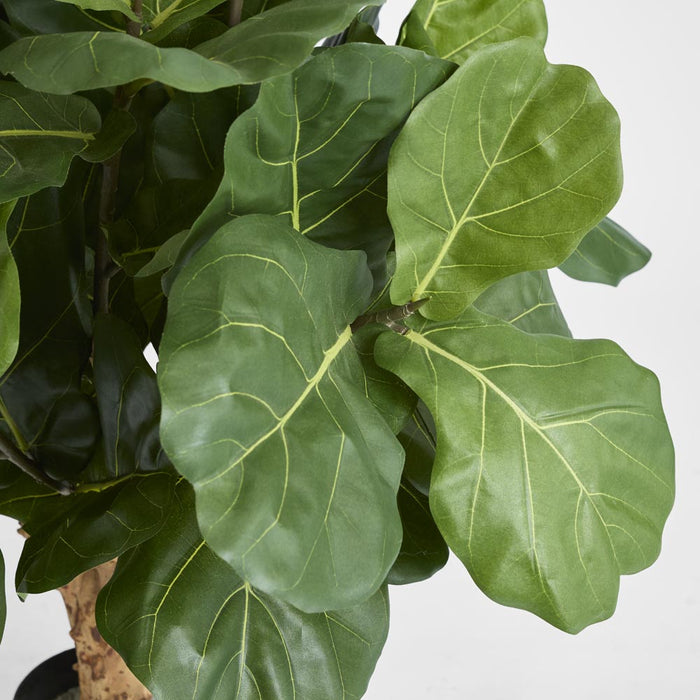 Fiddle Leaf Tree w/70 Leaves 1.2m