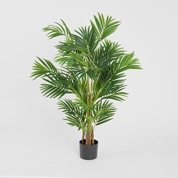 Palm Mini Real Touch In Black Plastic Pot