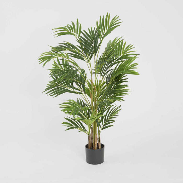 Palm Mini Real Touch In Black Plastic Pot