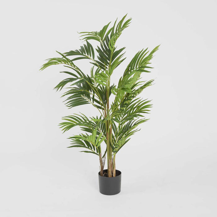 Palm Mini Real Touch In Black Plastic Pot