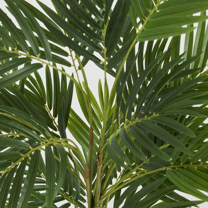 Palm Mini Real Touch In Black Plastic Pot
