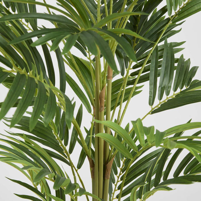 Palm Mini Real Touch In Black Plastic Pot