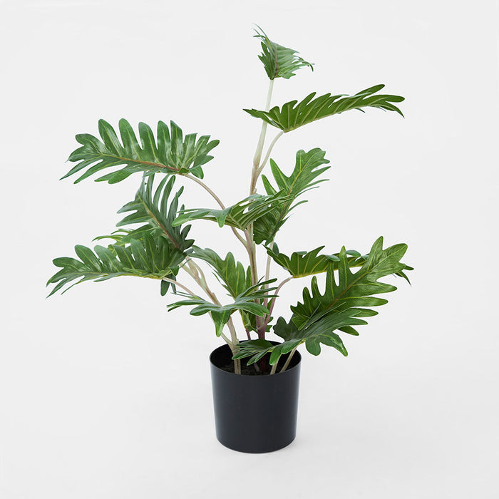 Philo Leaf Real Touch In Black Plastic Pot