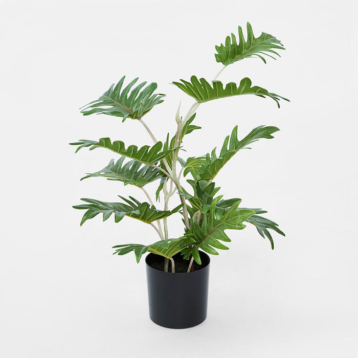 Philo Leaf Real Touch In Black Plastic Pot