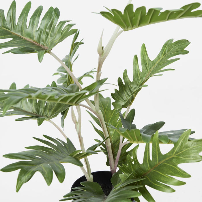 Philo Leaf Real Touch In Black Plastic Pot