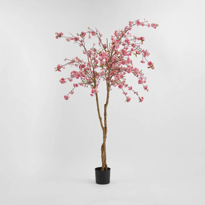 Cherry Blossom Tree 150cm