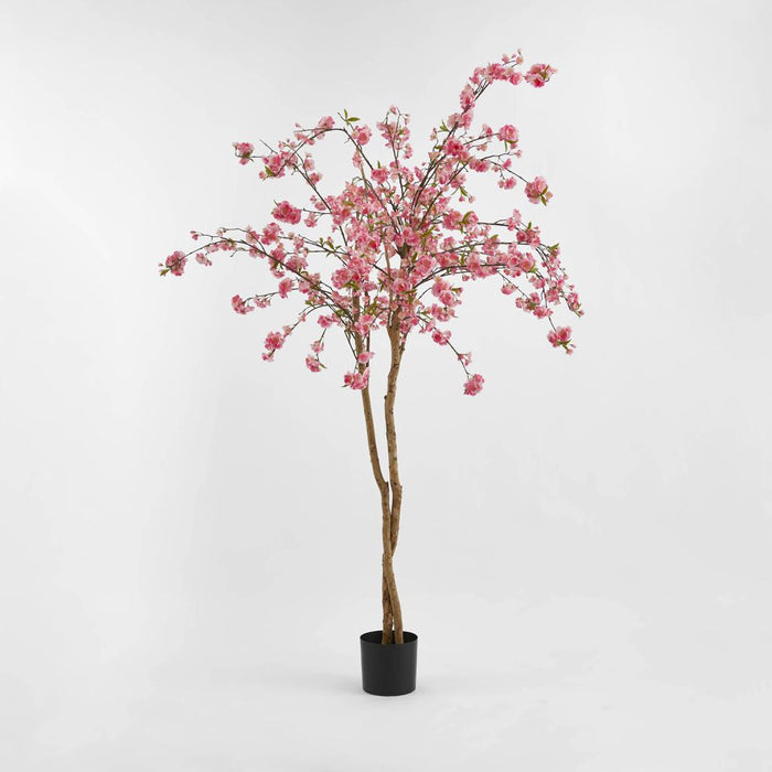 Cherry Blossom Tree 150cm