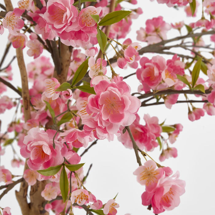 Cherry Blossom Tree 150cm