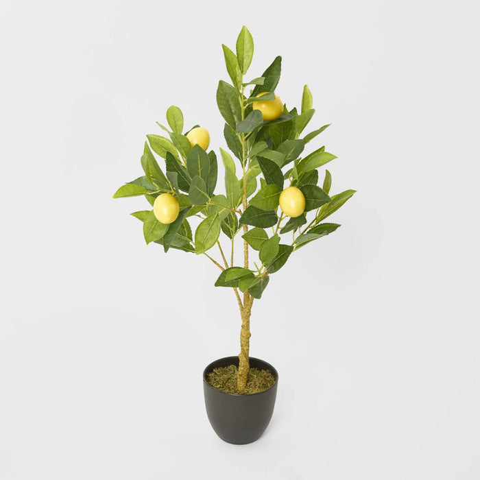 Lemon Tree 5 Fruits 70cm