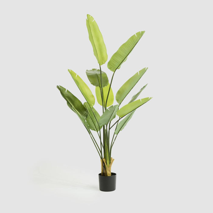 Bird of Paradise Real Touch 160cm