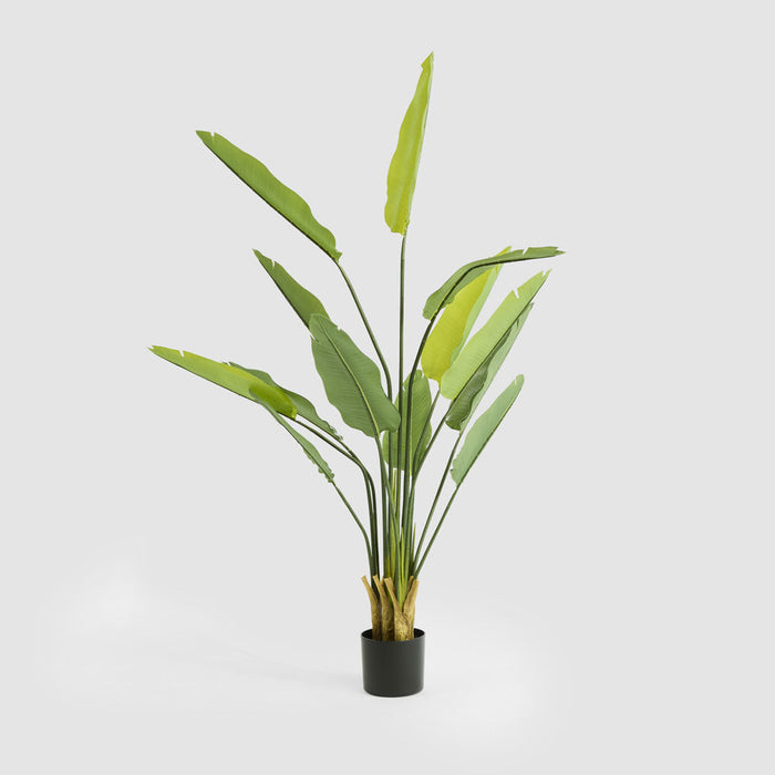 Bird of Paradise Real Touch 160cm