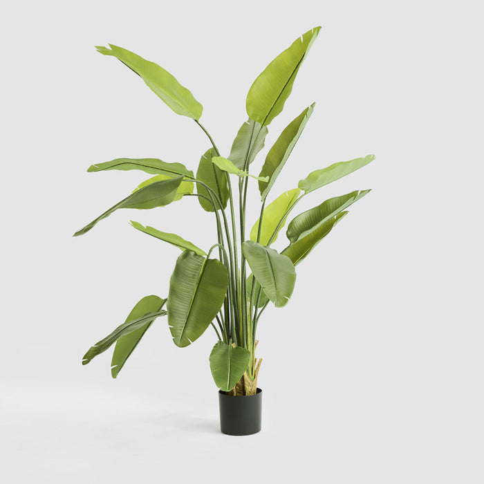 Bird of Paradise Real Touch 180cm