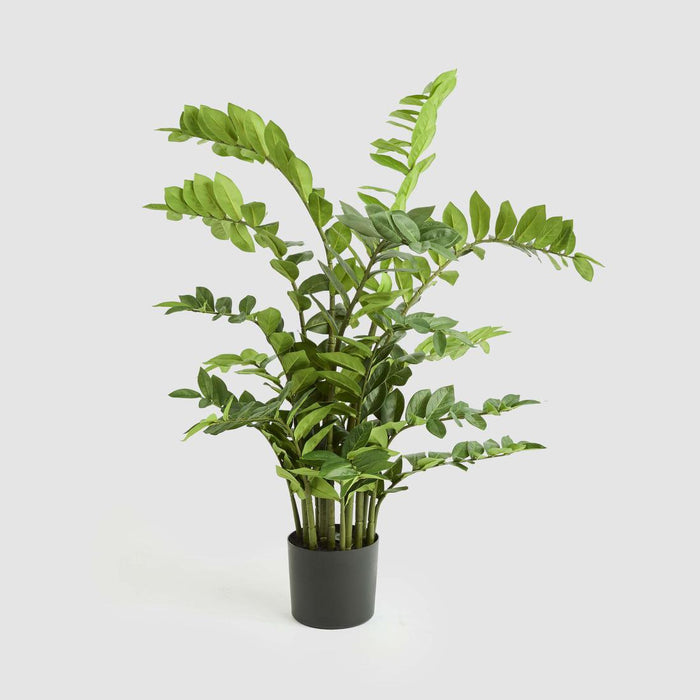 Zanzibar Real Touch Leaf In Black Plastic Pot