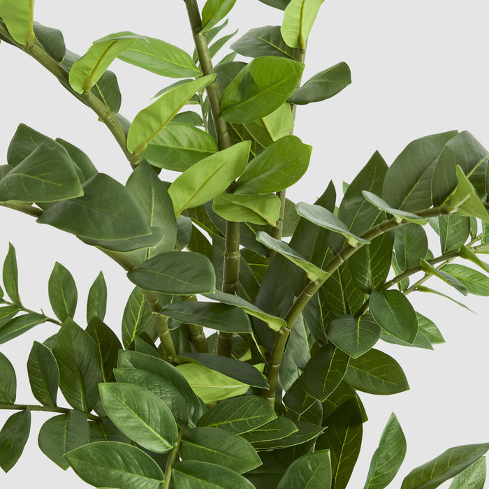 Zanzibar Real Touch Leaf In Black Plastic Pot