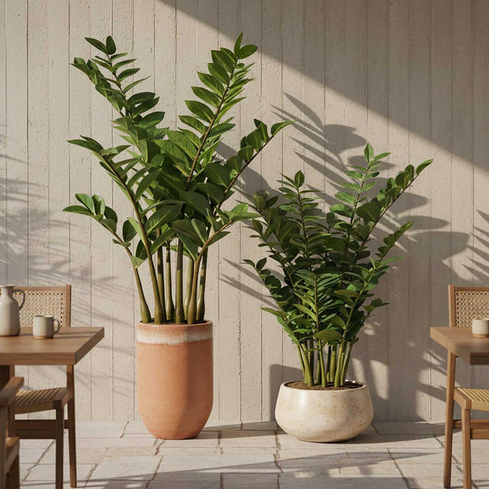 Zanzibar Real Touch Leaf In Black Plastic Pot