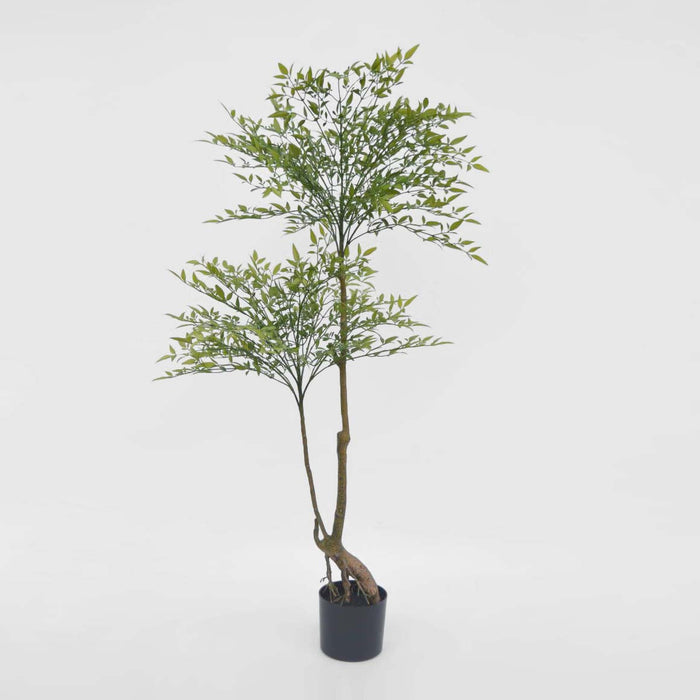 Green Nandina Tree 140cm