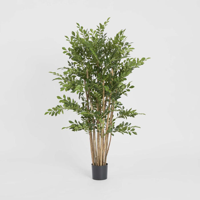 Eucalyptus Mini Leaf Tree 120cm Green