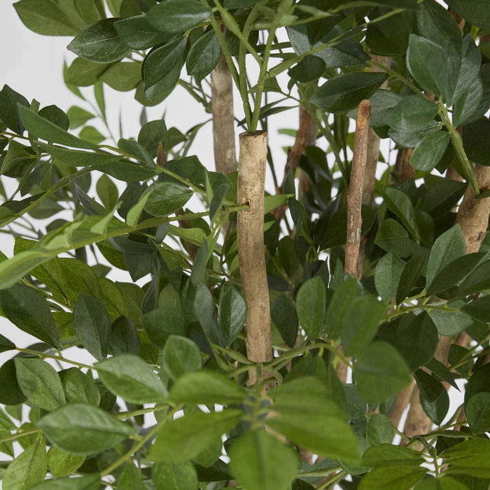 Eucalyptus Mini Leaf Tree 120cm Green